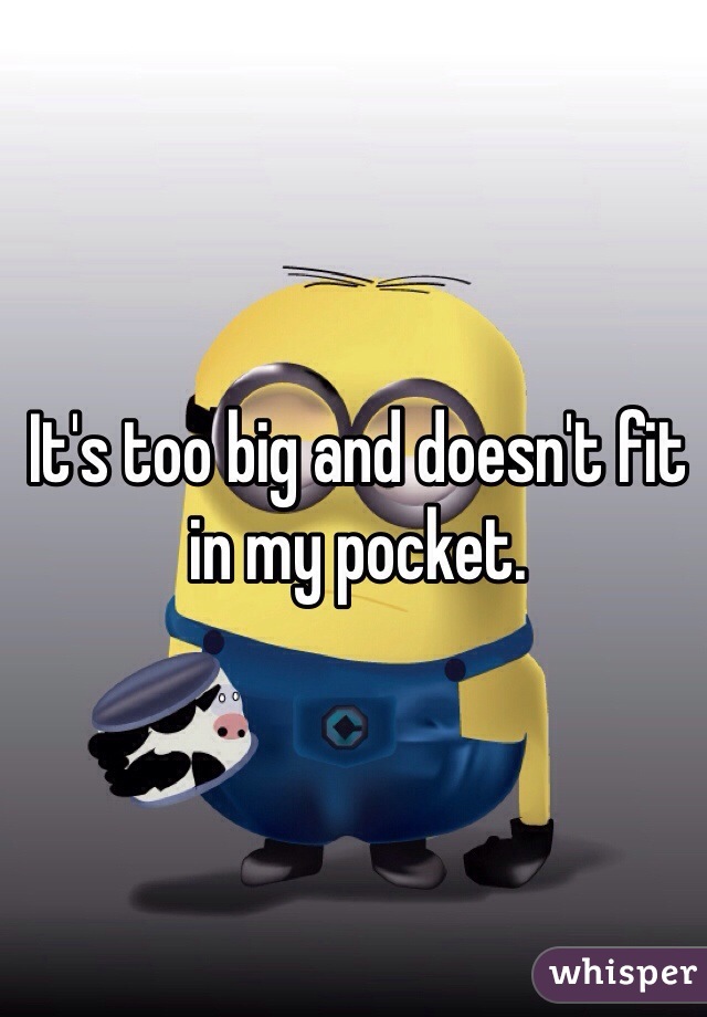 It's too big and doesn't fit in my pocket. 