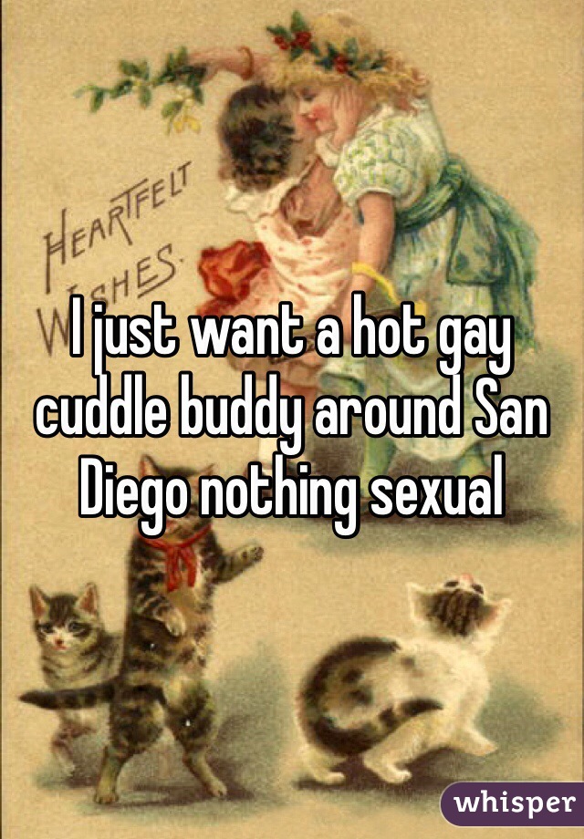 I just want a hot gay cuddle buddy around San Diego nothing sexual 