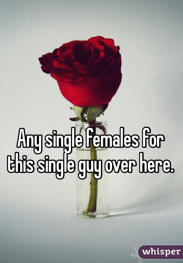 Any single females for this single guy over here. 