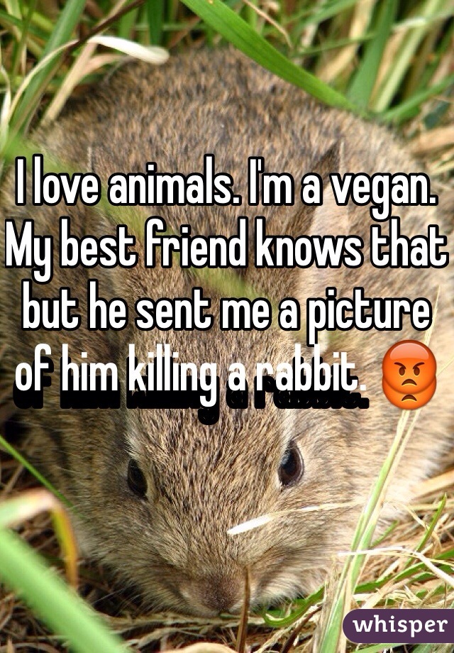 I love animals. I'm a vegan. My best friend knows that but he sent me a picture of him killing a rabbit. 😡 