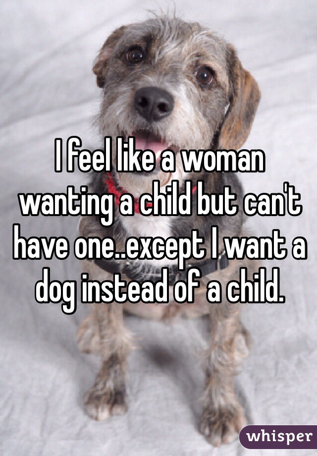 I feel like a woman wanting a child but can't have one..except I want a dog instead of a child.