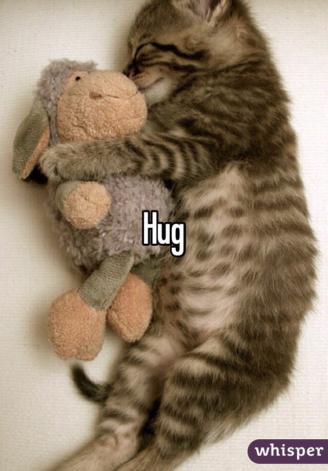 Hug
