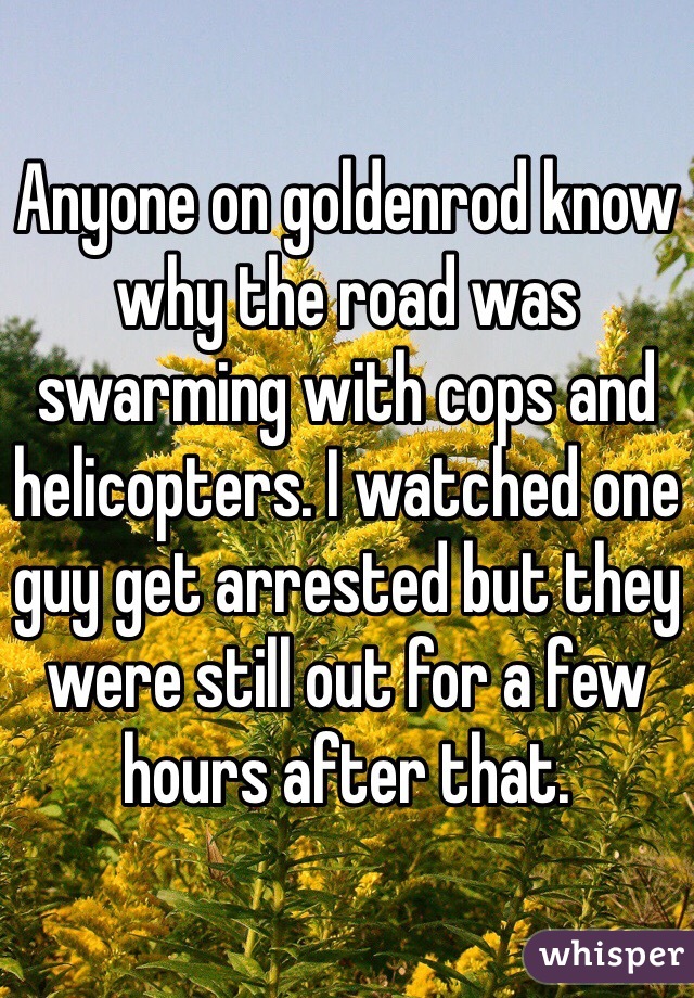 Anyone on goldenrod know why the road was swarming with cops and helicopters. I watched one guy get arrested but they were still out for a few hours after that. 