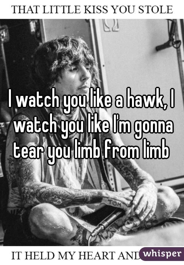 I watch you like a hawk, I watch you like I'm gonna tear you limb from limb 