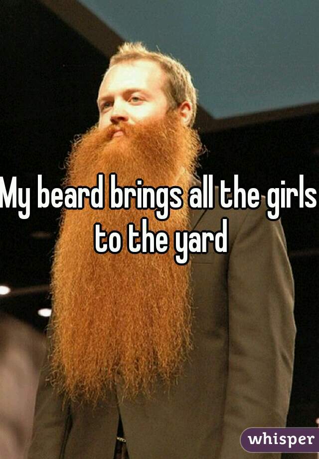 My beard brings all the girls to the yard