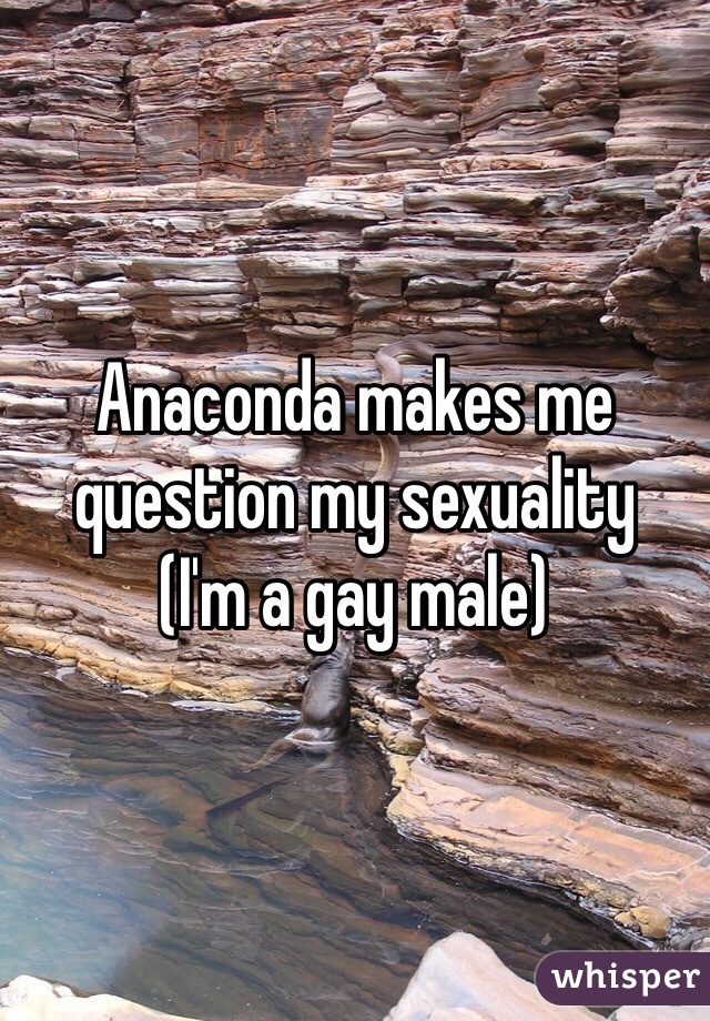 Anaconda makes me question my sexuality
(I'm a gay male)