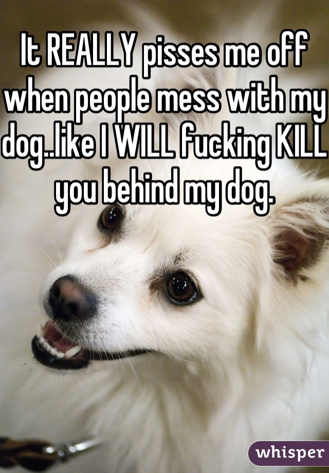 It REALLY pisses me off when people mess with my dog..like I WILL fucking KILL you behind my dog.