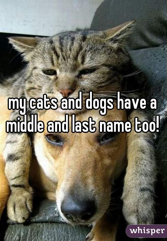 my cats and dogs have a middle and last name too! 