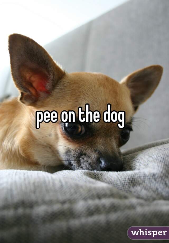 pee on the dog  
