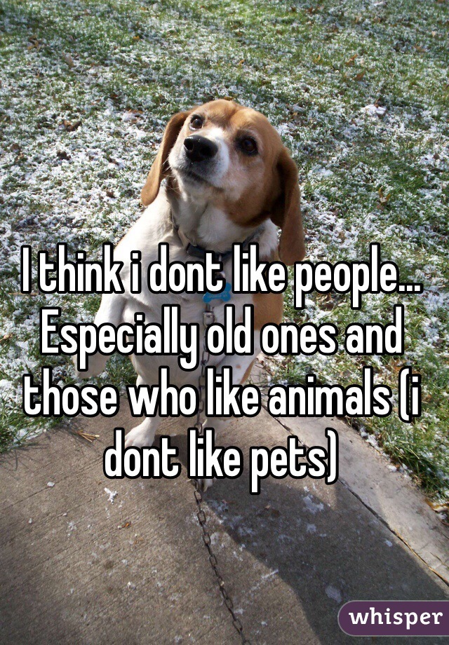 I think i dont like people... Especially old ones and those who like animals (i dont like pets)