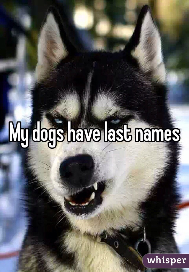 My dogs have last names
