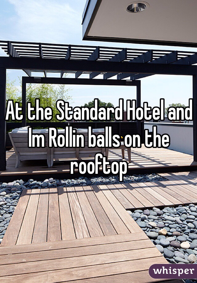 At the Standard Hotel and Im Rollin balls on the rooftop