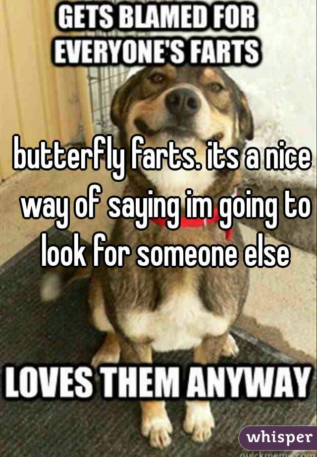 butterfly farts. its a nice way of saying im going to look for someone else