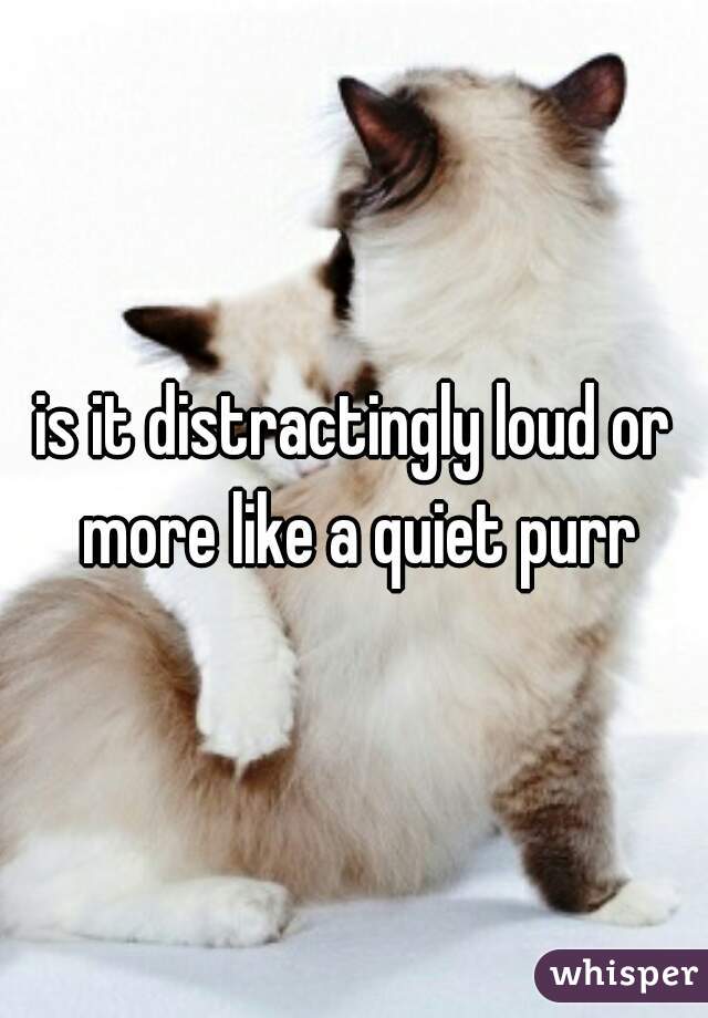 is it distractingly loud or more like a quiet purr