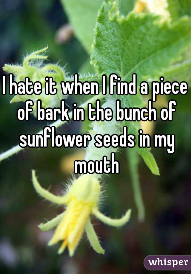 I hate it when I find a piece of bark in the bunch of sunflower seeds in my mouth