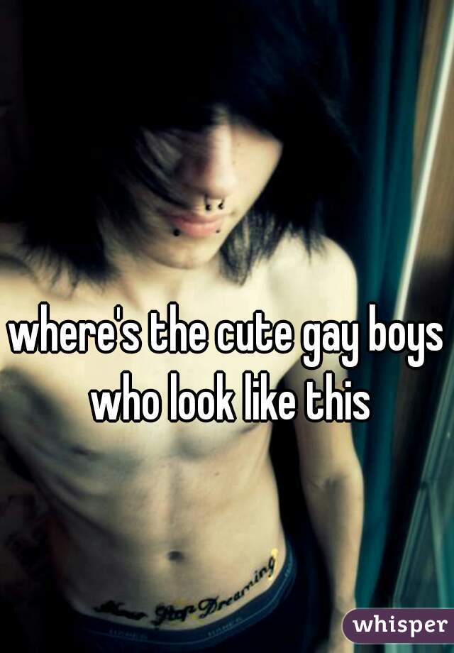 where's the cute gay boys who look like this