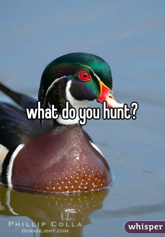 what do you hunt?