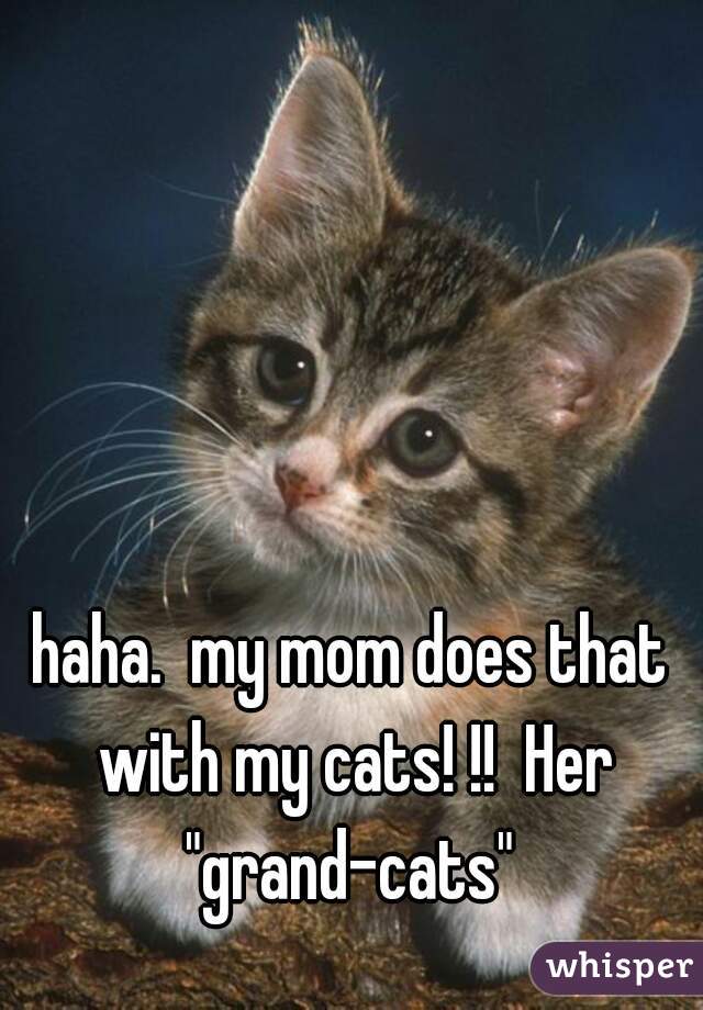 haha.  my mom does that with my cats! !!  Her "grand-cats" 