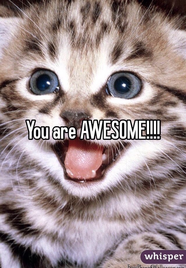 You are AWESOME!!!!
