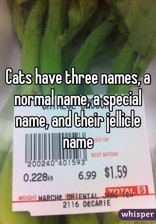 Cats have three names, a normal name, a special name, and their jellicle name