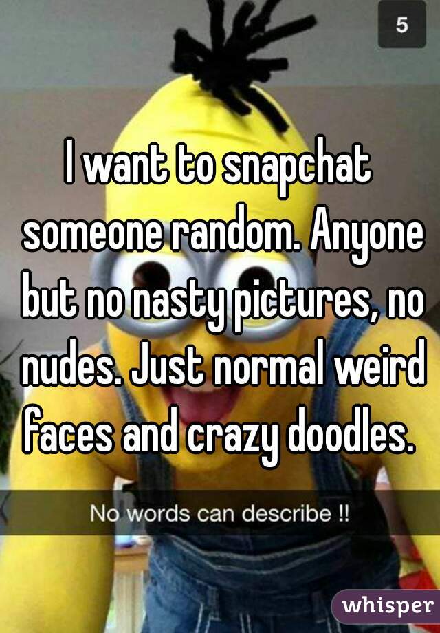 I want to snapchat someone random. Anyone but no nasty pictures, no nudes. Just normal weird faces and crazy doodles. 