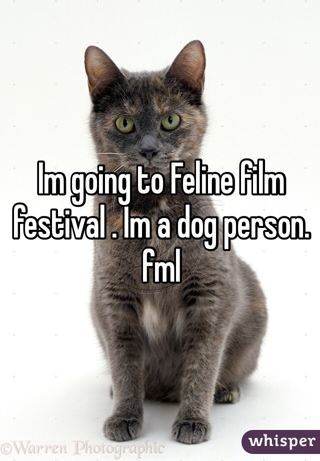 Im going to Feline film festival . Im a dog person. fml 