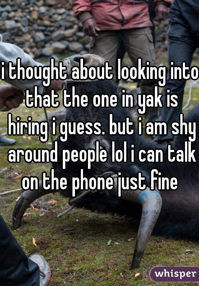i thought about looking into that the one in yak is hiring i guess. but i am shy around people lol i can talk on the phone just fine 