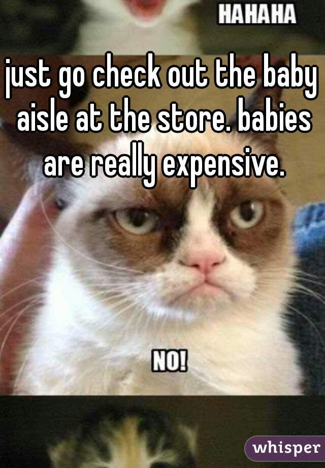 just go check out the baby aisle at the store. babies are really expensive.