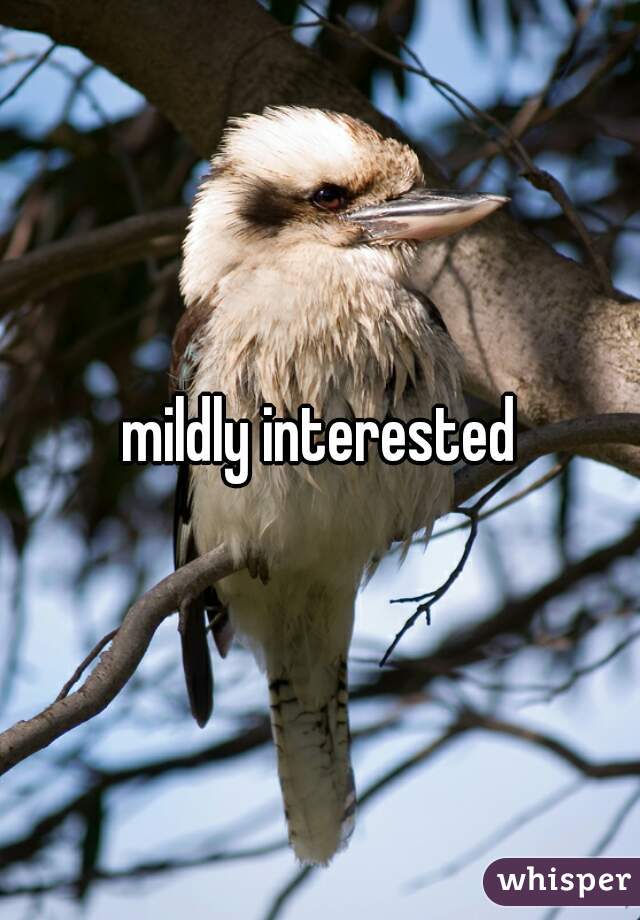 mildly interested
