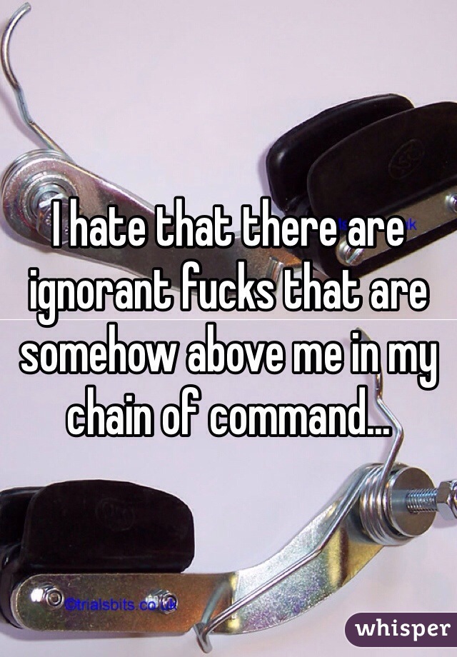 I hate that there are ignorant fucks that are somehow above me in my chain of command... 