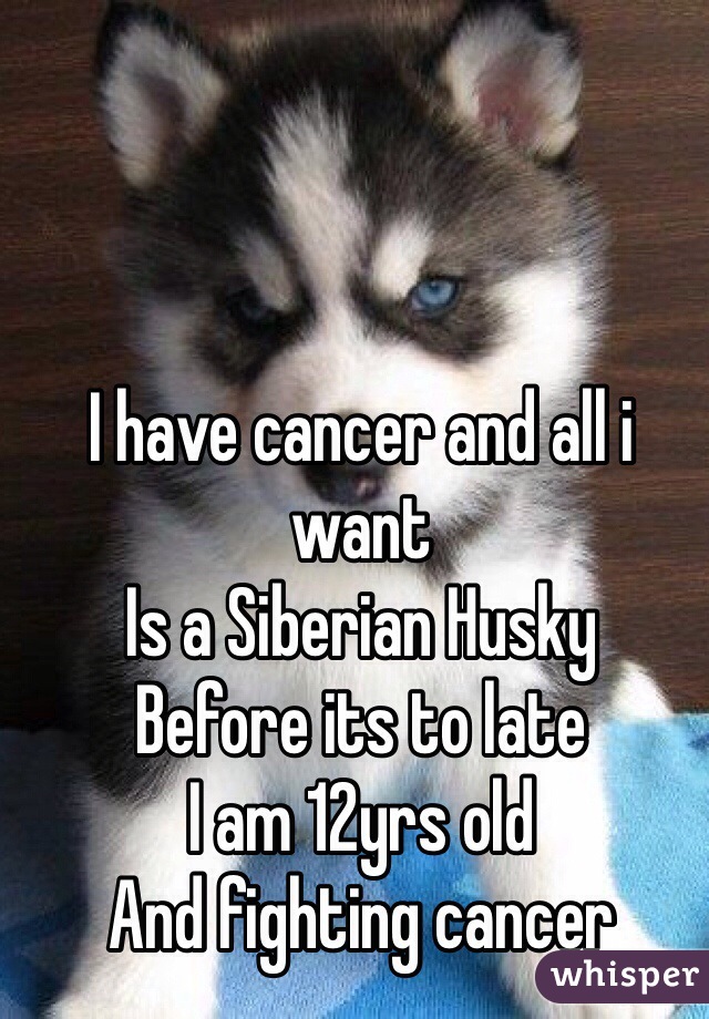 
I have cancer and all i want 
Is a Siberian Husky
Before its to late 
I am 12yrs old
And fighting cancer