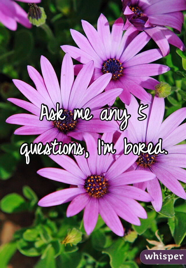 Ask me any 5 questions, I'm bored. 