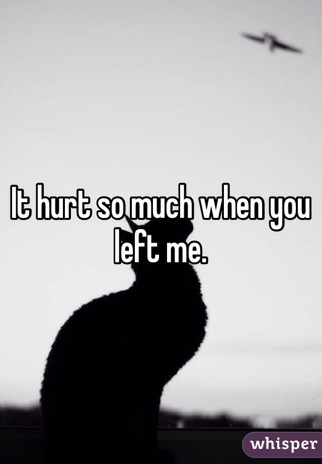 It hurt so much when you left me.