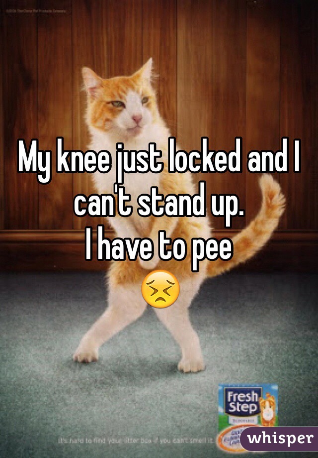 My knee just locked and I can't stand up. 
I have to pee
😣
