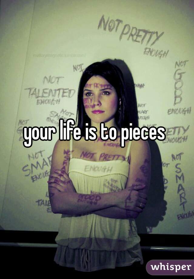 your life is to pieces 
