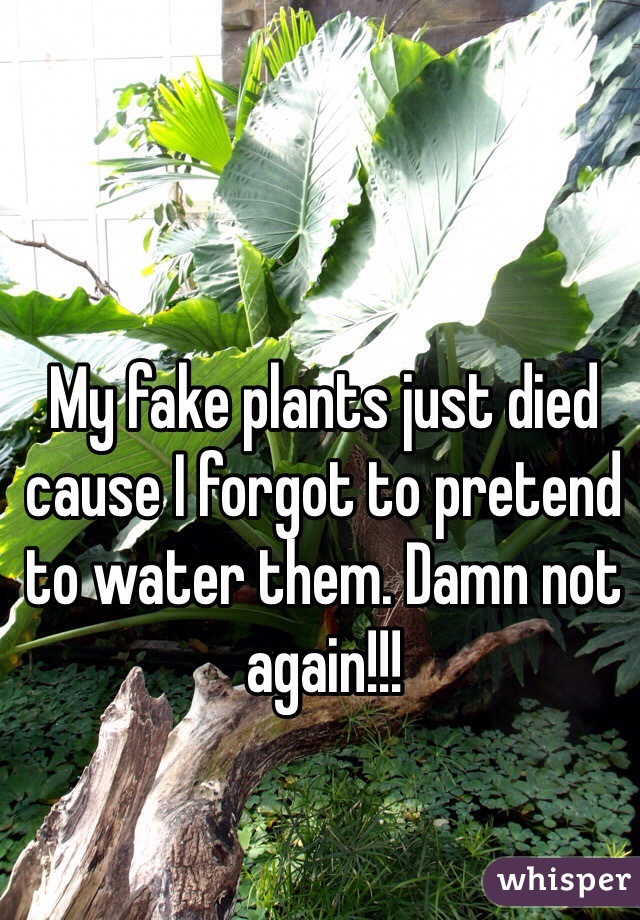 My fake plants just died cause I forgot to pretend to water them. Damn not again!!!