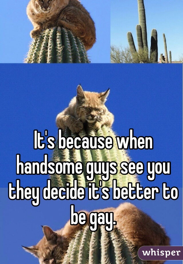 It's because when handsome guys see you they decide it's better to be gay. 
