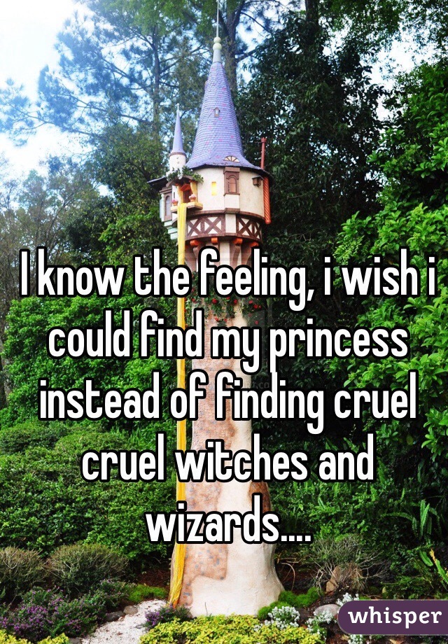 I know the feeling, i wish i could find my princess instead of finding cruel cruel witches and wizards....