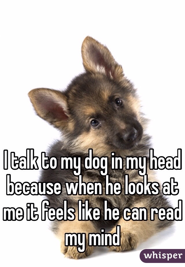 I talk to my dog in my head because when he looks at me it feels like he can read my mind