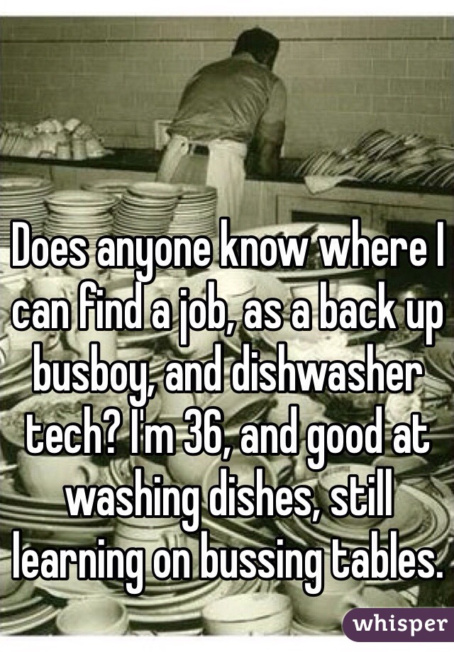 Does anyone know where I can find a job, as a back up busboy, and dishwasher tech? I'm 36, and good at washing dishes, still learning on bussing tables. 