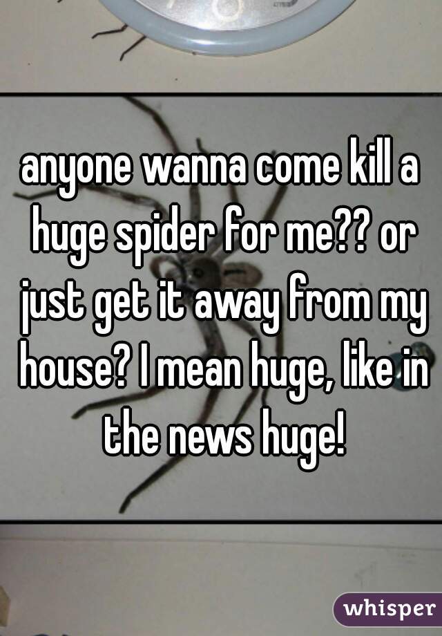 anyone wanna come kill a huge spider for me?? or just get it away from my house? I mean huge, like in the news huge!