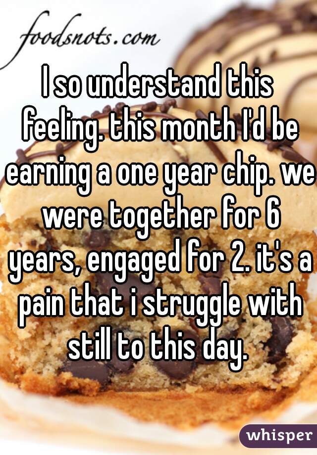 I so understand this feeling. this month I'd be earning a one year chip. we were together for 6 years, engaged for 2. it's a pain that i struggle with still to this day. 