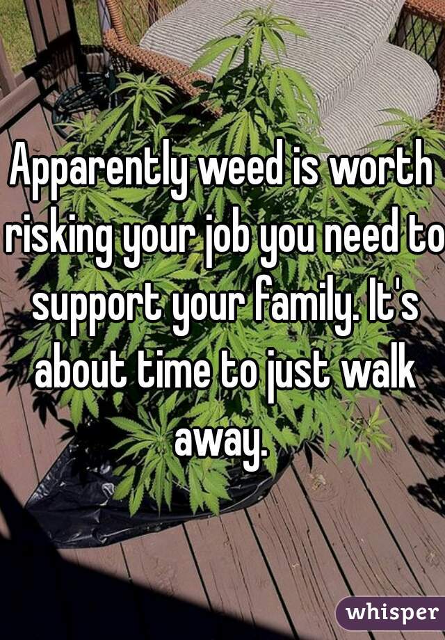 Apparently weed is worth risking your job you need to support your family. It's about time to just walk away. 