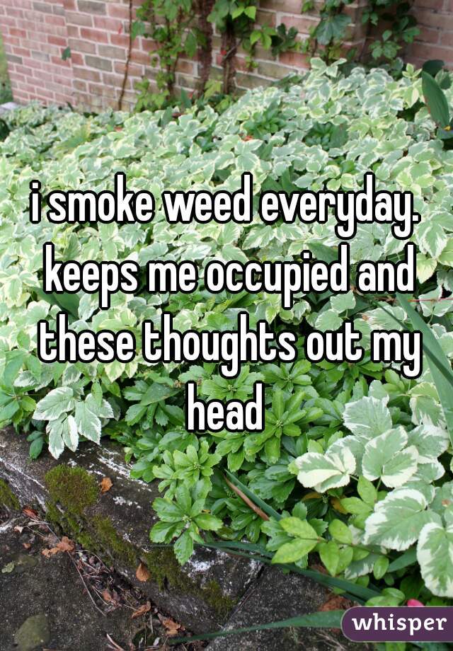 i smoke weed everyday. keeps me occupied and these thoughts out my head 