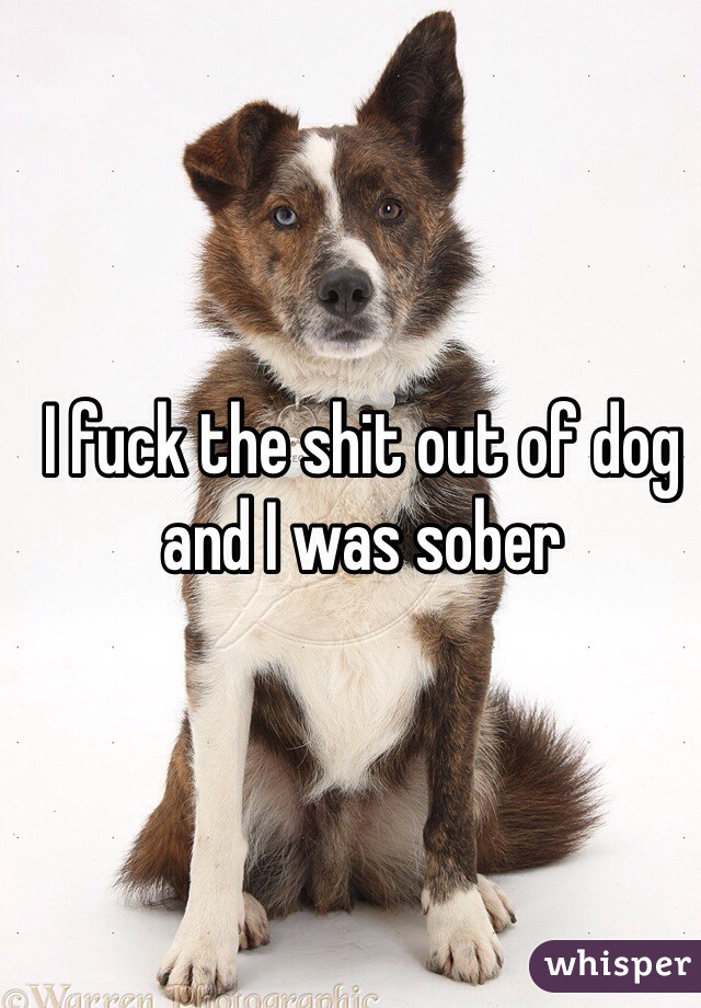 I fuck the shit out of dog and I was sober