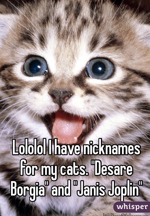 Lololol I have nicknames for my cats. "Desare Borgia" and "Janis Joplin"