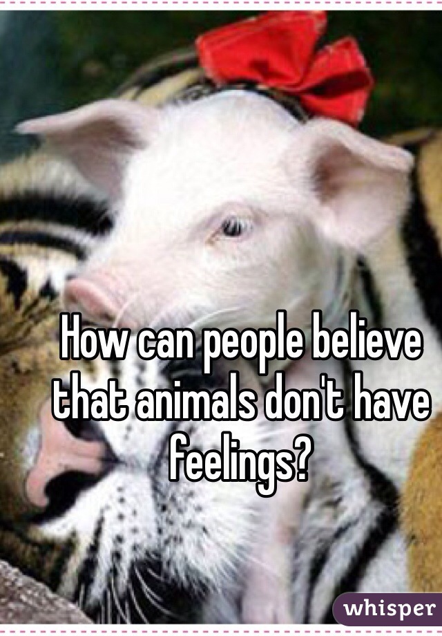 How can people believe that animals don't have feelings? 