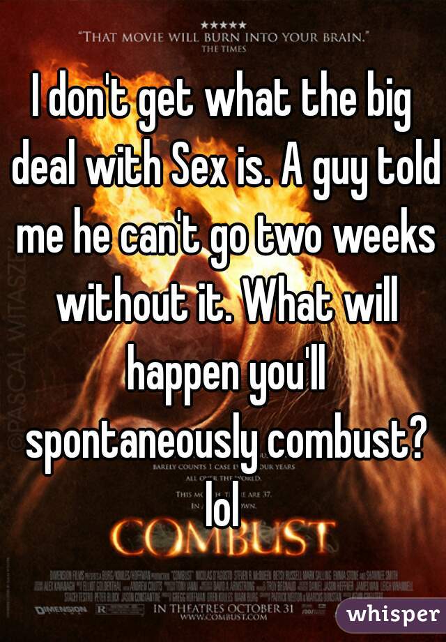 I don't get what the big deal with Sex is. A guy told me he can't go two weeks without it. What will happen you'll spontaneously combust? lol 