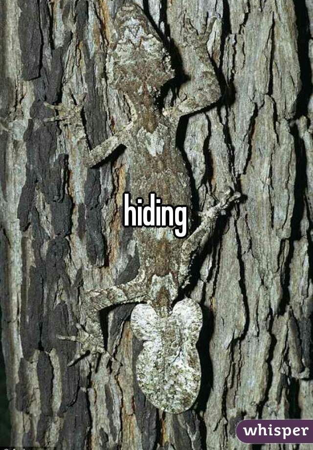 hiding