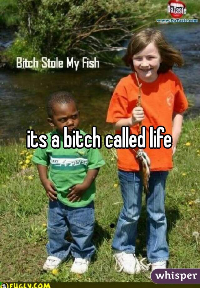 its a bitch called life